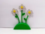 Gänseblümchen-Dekor-0