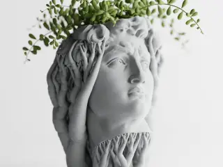 Organic David Planter