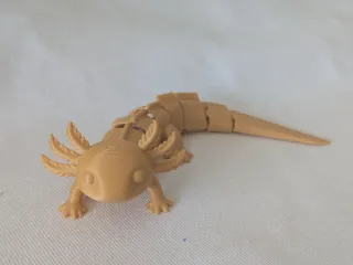 axolotl