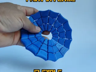 spider web coaster
