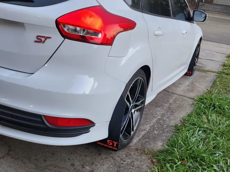 Focus ST mud guards