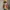 Luffy Anime Figure