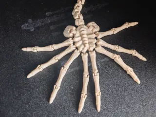 Alien Flexible Xenomorph