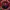 Tampa Bay Buccaneers Lightbox