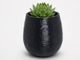 Plant Pot (Crystal)-0