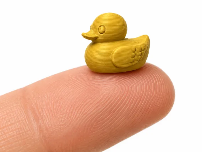 World's Smallest Duck
