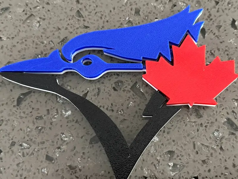 Blue Jay Head