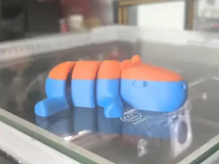 cabibara 
