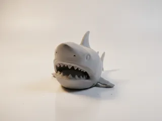 Shark – Fierce Ocean Predator