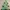 Hanging Christmas Tree with Baubles, Tinsels and Star