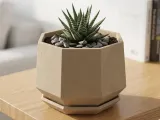 Modern Geometric, Octagonal Planter and Saucer Set-0