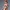 Wilma flintstone (NSFW)