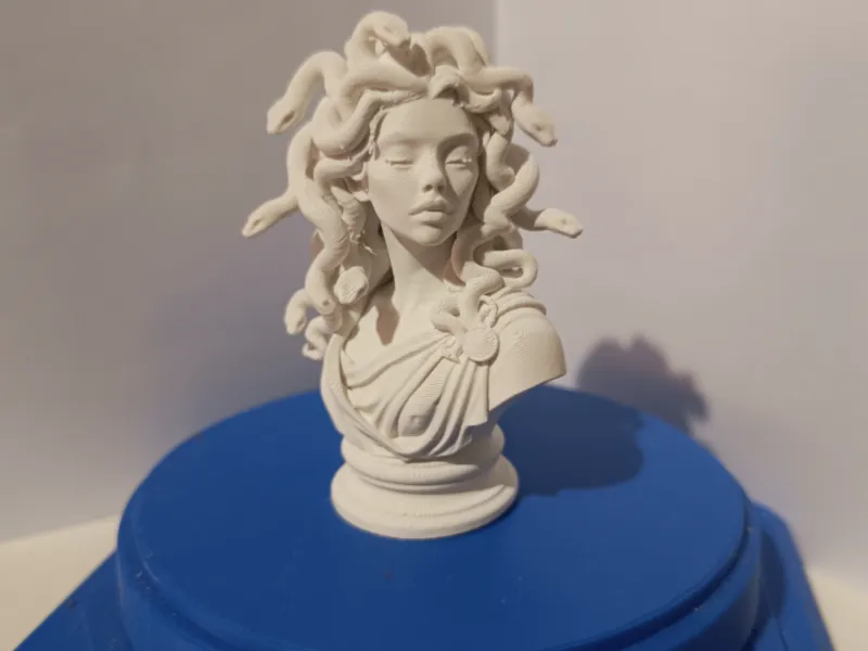 medusa_final