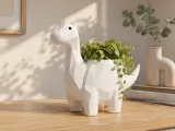 Dinosaur Plante-0