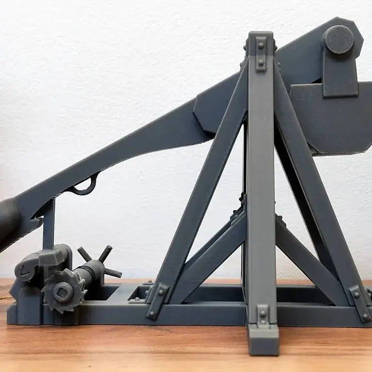 Working catapult (assembly required)