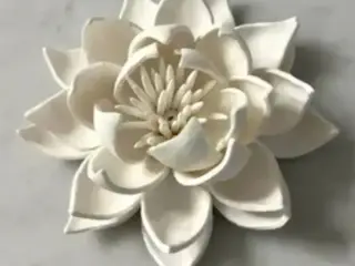 Flower art
