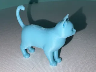 cat 3