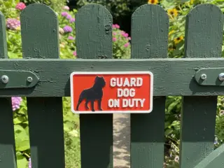 Guard dog on duty..