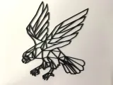 Eagle-creality-co-0
