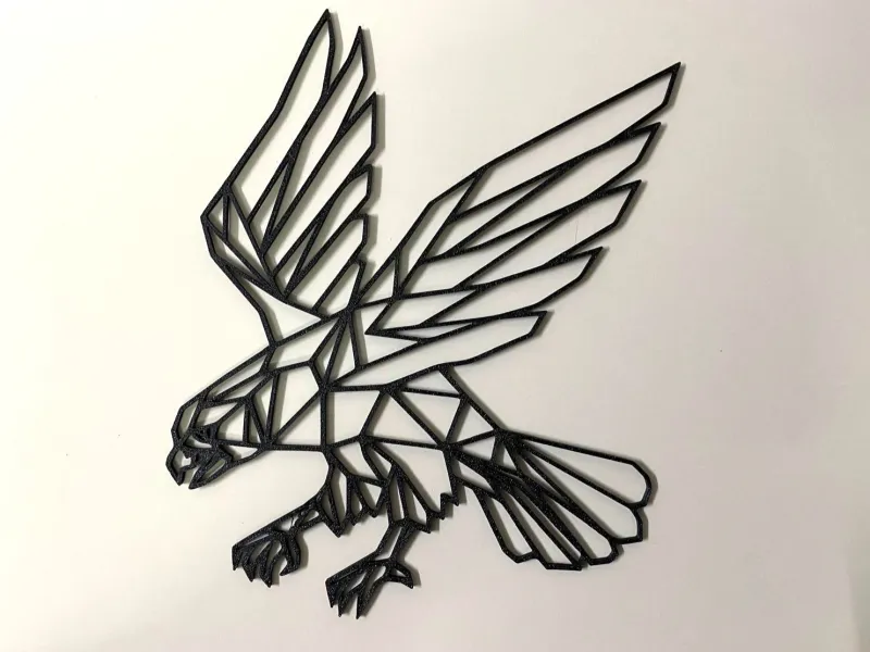 Eagle-creality-co