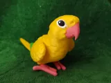 Golden Conure-0