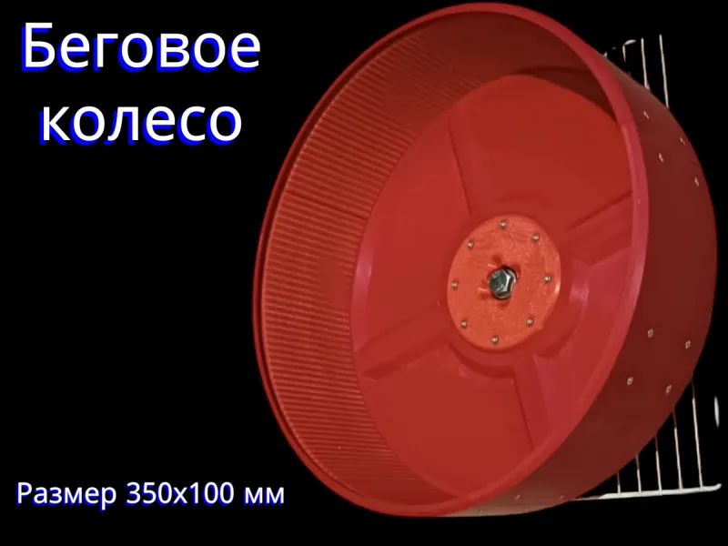 A Running Wheel in a Cage