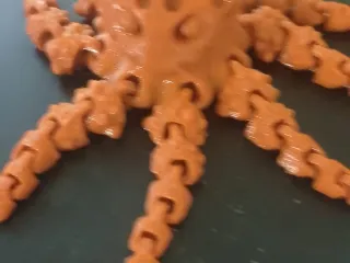 octopuus