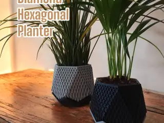 Diamond Hexagonal Planter
