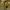 Async Hazmat Suit Miniature (The Backrooms)