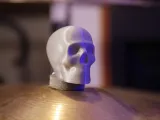 Skull002-0