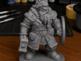 Shield Captain Dwarf for DnD - Magic Series-0