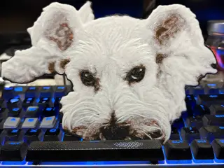 Cute Puppy named River