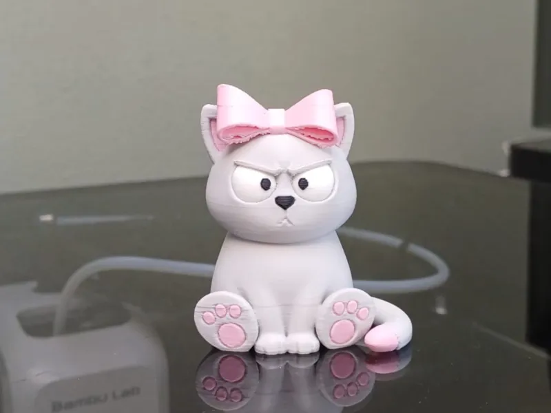 Gatto Arrabbiato Carino