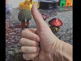 MUSHROOM series 01