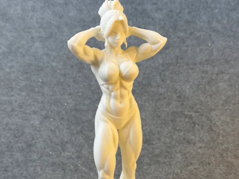 Body Builder