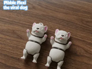 Pibble Flexi, the viral dog - Multicolor