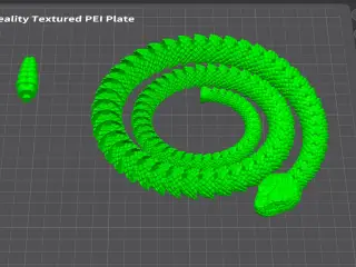 Snake and Rattlesnake