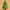 Low Poly Christmas Tree 3D Model