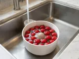 Früchte waschanlage-0