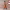 Goku Base Multipartes
