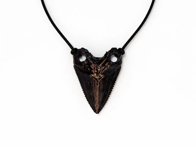 Megalodon Tooth | Fossil Necklace