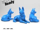 German Shepherd Dog-0