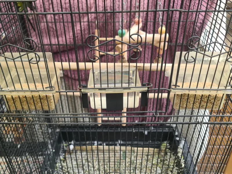 Water Bowl Adapter