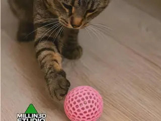 Kitty Cat Toy Ball - Watch them play for hours