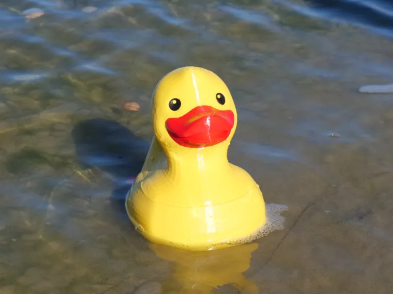 RC Renè Ruberduck