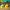 Plusle & Minun Chonchi / Gorditos - Pack 2 en 1 (No Supports
