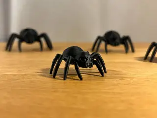 Creepy Spider
