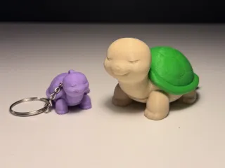 Cute Turtle