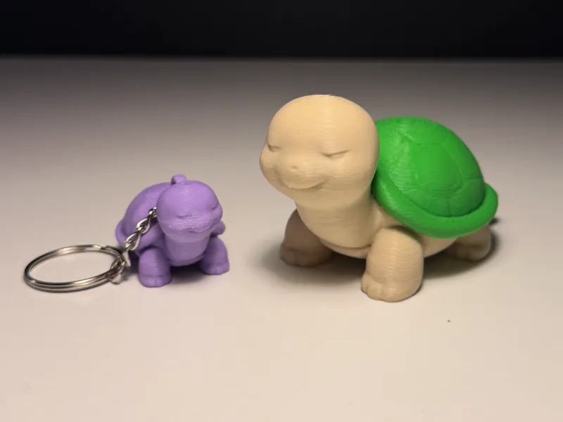 Cute Turtle