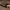 flexi_toy_possum_cowboy